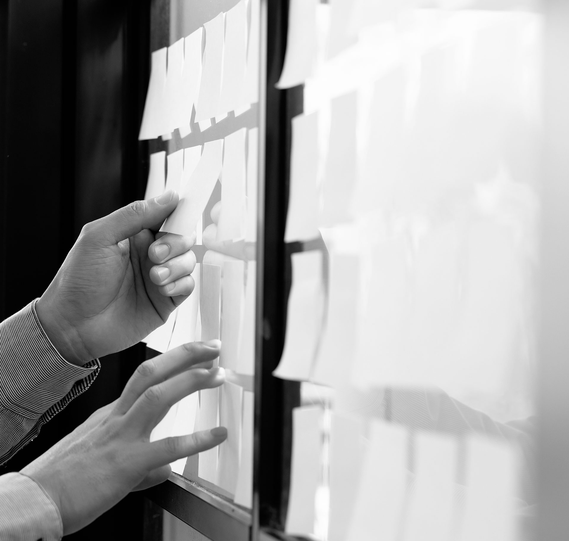 Agile training