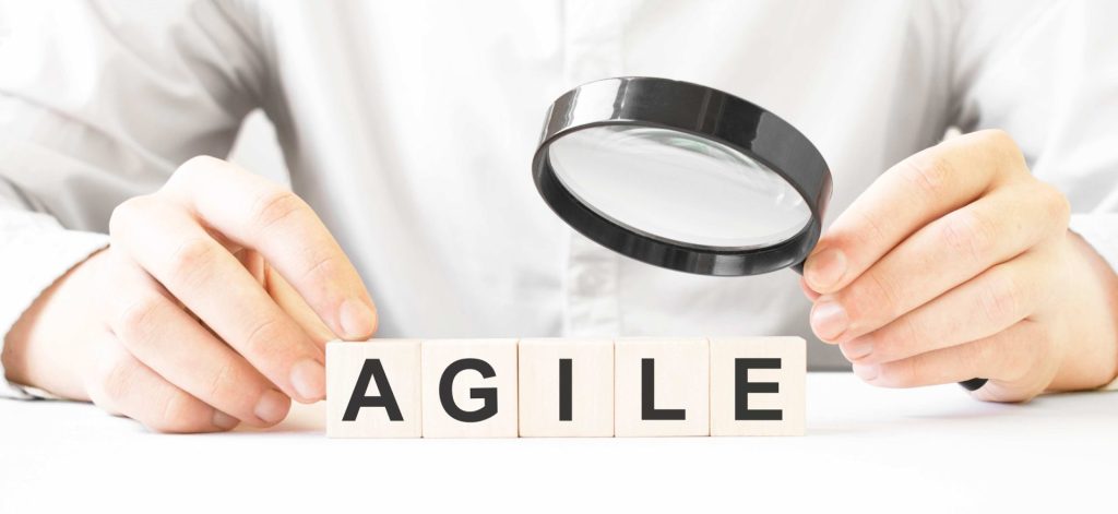 Agile Ceremonies and Artifacts