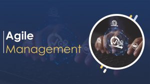 Agile Management